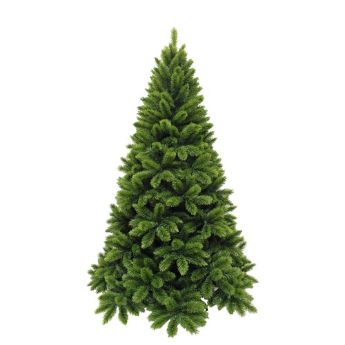Triumph tree tsuga sapin - tsuga, de