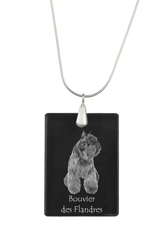 Bouvier des flandres collier - des,