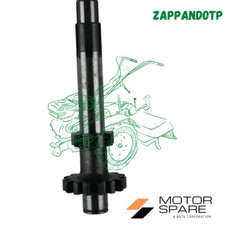 Arbre Axe Primaire Ad. Motoculteur Super Special 140 Goldoni Dents 9 15