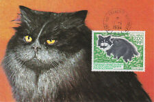 T.A.A.F.-1994- CHAT--Port aux