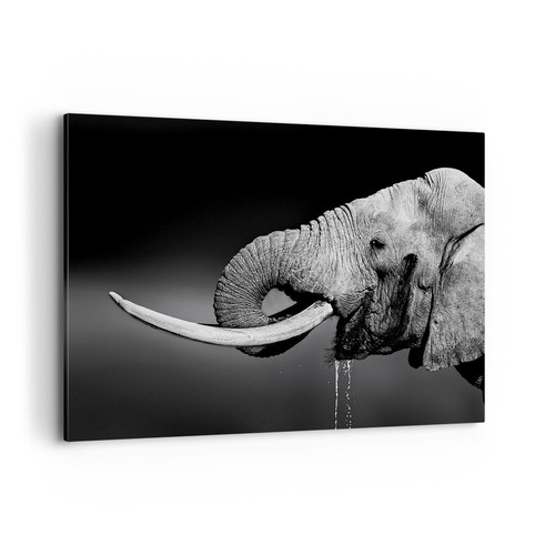 Impression sur toile 100x70cm - impression,