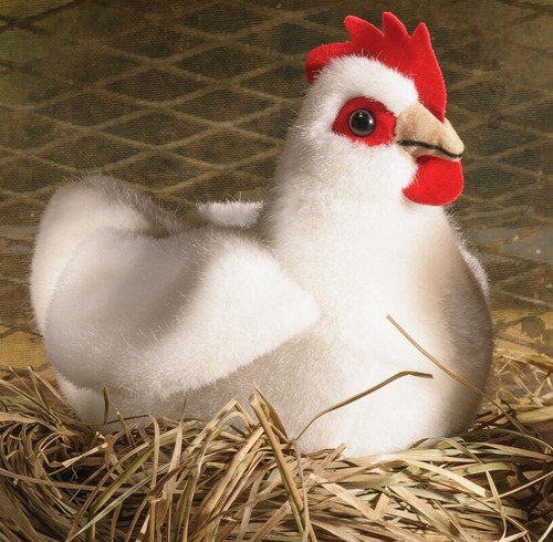 Poule blanc par kosen - par,