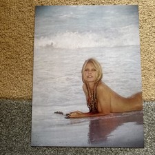 photo brigitte bardot