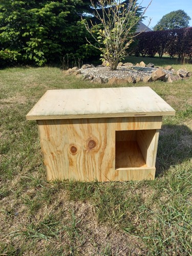 Niche chat petit chien - niche,