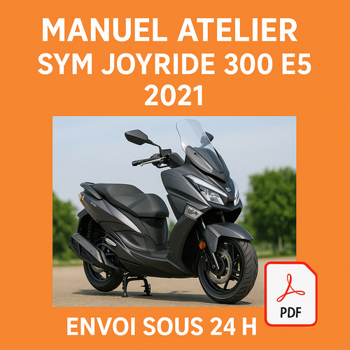 Manuel atelier sym - manuel, joyride