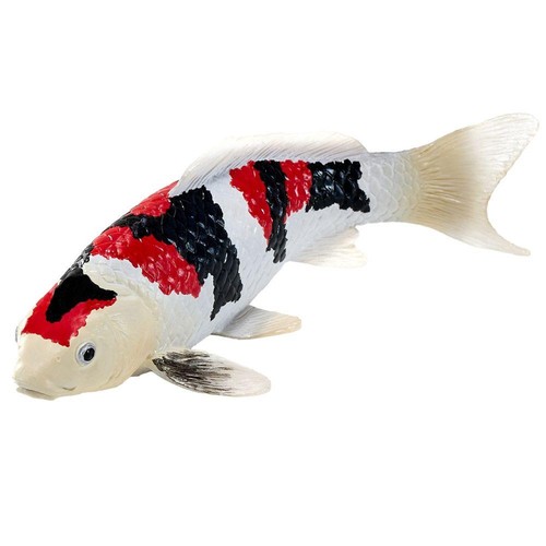 Koi carp showa - koi,