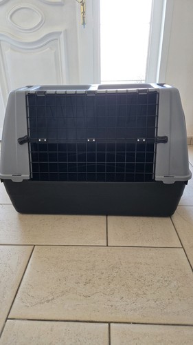 Cage transport chien