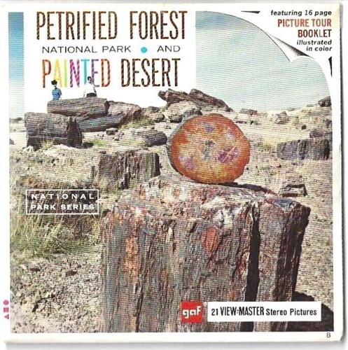 View master petrified forest - view,