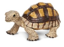Safari Ltd 258629 Tortue