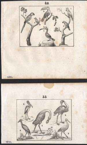 1832 deux gravures originales - 1832,