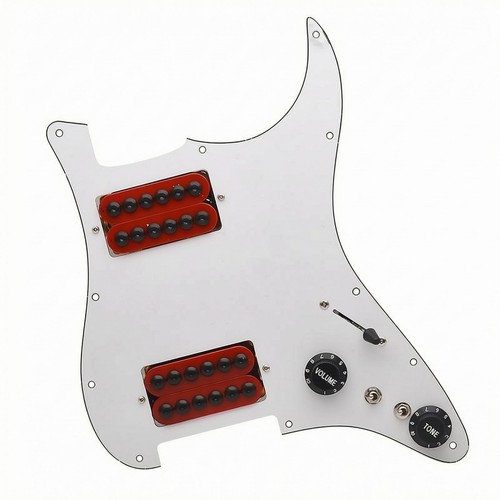 Assemblage pickguard t - s, et