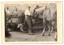 WWII France tank panzer char Renault UE Chenillette horse feed photo post-card