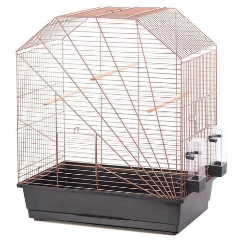 Cage oiseaux duvo - oiseaux, copper