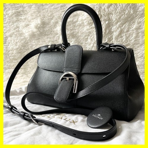 Sac delvaux brillant - sac, west