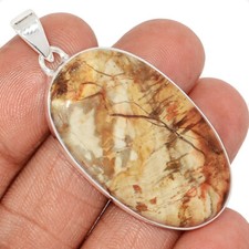 Natural Petrified Wood (Araucaria) Navajo County 925 Silver Pendant CP61766