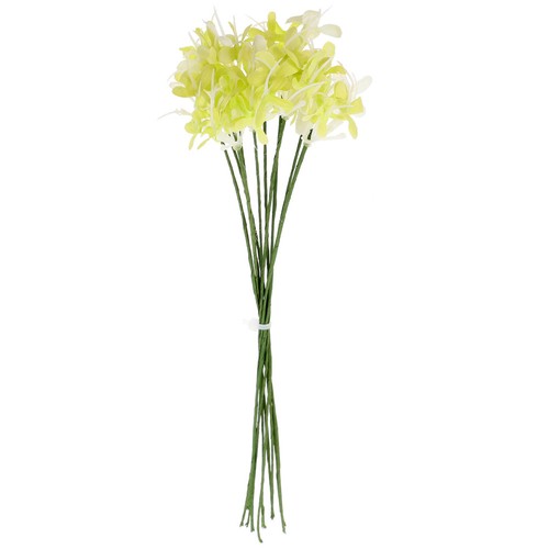 Pcs plantes vertes - 10,