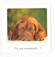 CHIEN  Chiot   CHIENS  carte postale   n°  FFU 0002 Tu me manques... !