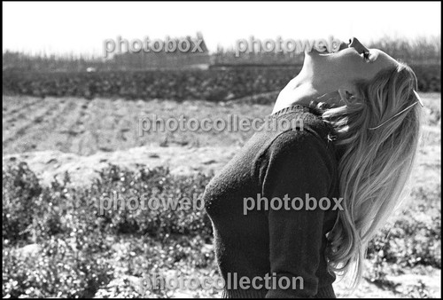 Brigitte bardot exclusive - *,