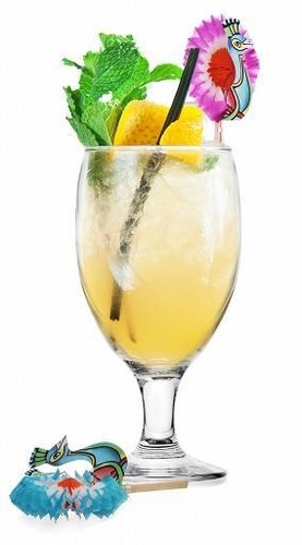Verres cocktail 500ml - 6,
