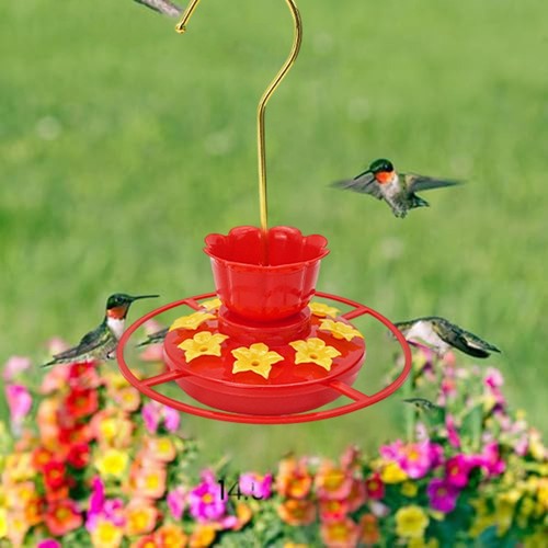 Mangeoire pour colibri - , jardin