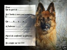 5 ou 12 cartes invitation