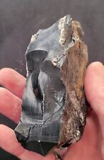 Jet Fine Stone Fine Raw France Albian Fossil Charcoal 224g ~100Ma