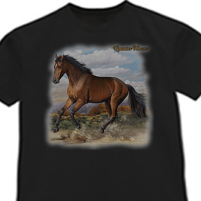 American quarter horse breed - american,
