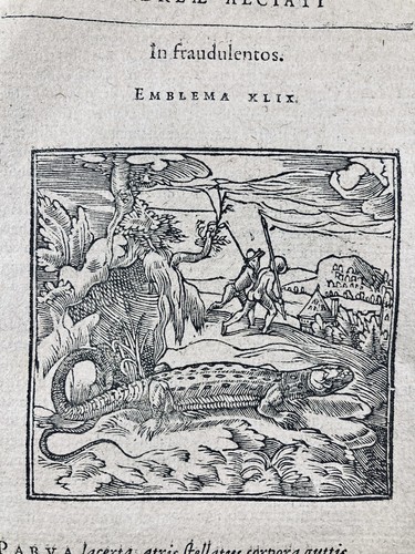 Gecko 1614 gravure - gecko,