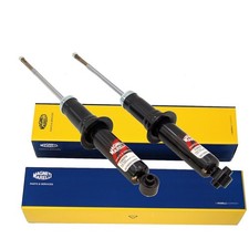 2 amortisseurs à gaz arrière