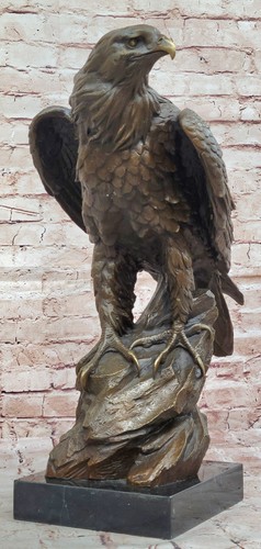 Bronze eagle hawk - hawk, falcon