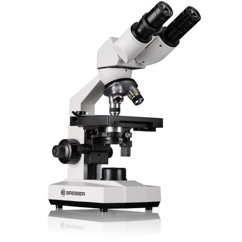 Erudit basic microscope - microscope, bino