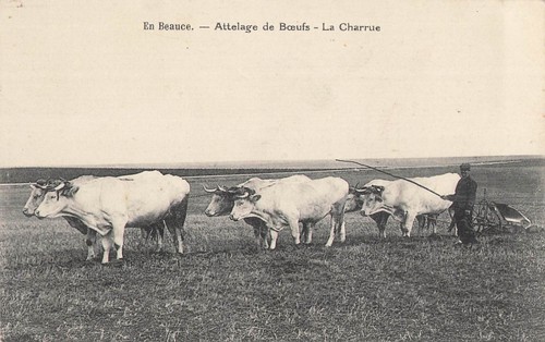 Beauce attelage de - en,