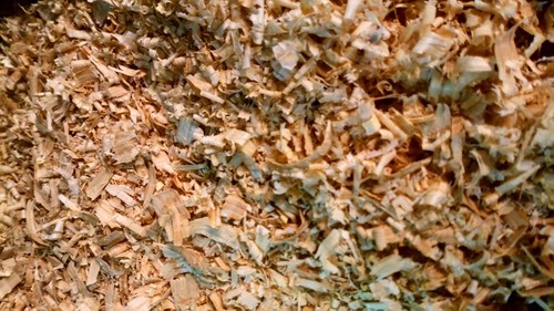 Sciure bois chêne - bois, de