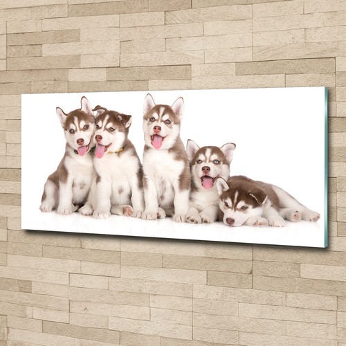 Tulup image sur verre - tulup,
