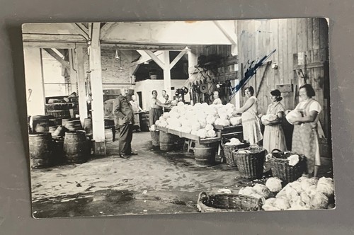 Carte photo ouvrieres serbie - ouvrieres,