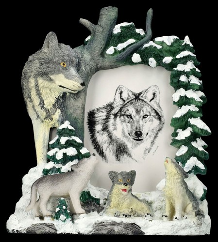 Cadre photo loups dans - photo,