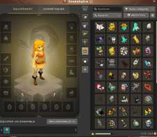 Compte Dofus Serveur Brial 40m