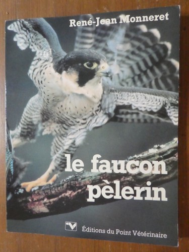 Faucon pèlerin par - faucon,