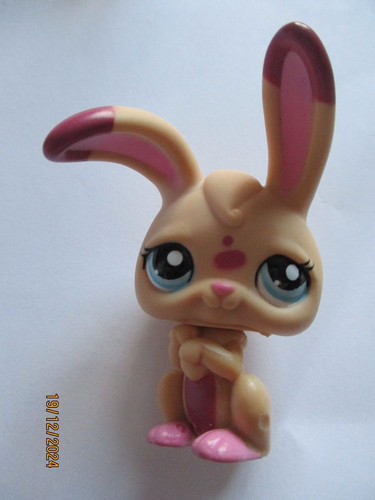 Petshop lapin garenne 1722 - de,