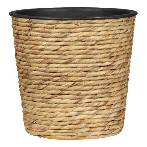 Pot fleurs hyacinth - pot, en