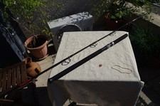 canne thon spinning  ANNY KOBO customer japonais.