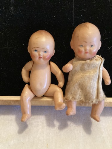 Petit colin 2 - « petit, colin »: