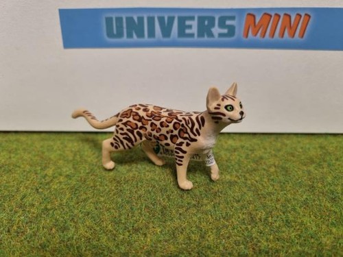 13918 chat bengal - chat,
