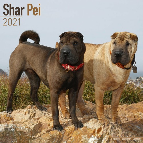 Calendrier 2021 shar - calendrier,
