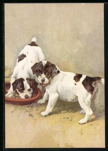Carte postale the - the, smooth