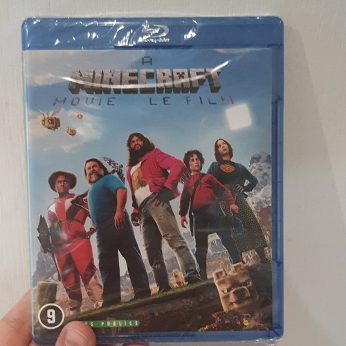 Warner bros minecraft - bros., movie