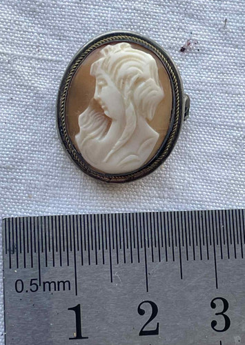 Joli petite broche camée - petite,