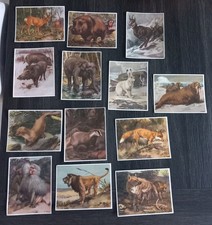 Lot 13 images ANIMAUX DE TOUS