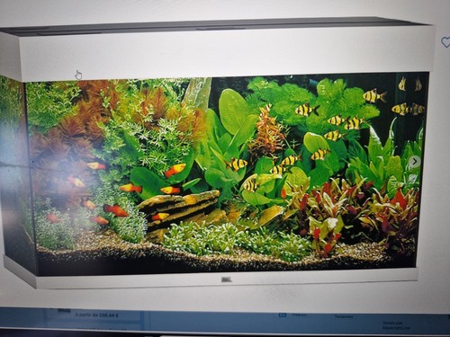 Aquarium juwel servi mois - juwel, 6