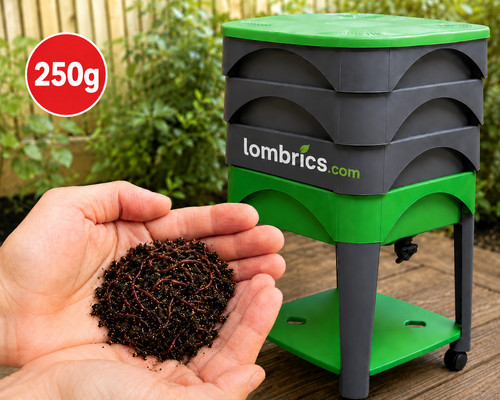 250g vers terre - 250g, de